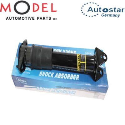 AutoStar Rear Shock Absorber