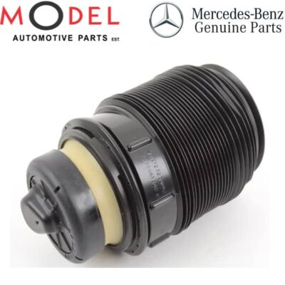 Mercedes-Benz Genuine Air Spring 2123203725