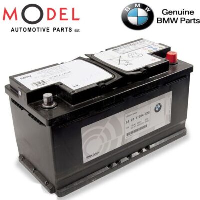 BMW Genuine AGM Battery