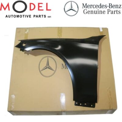 Genuine Front Fender Left