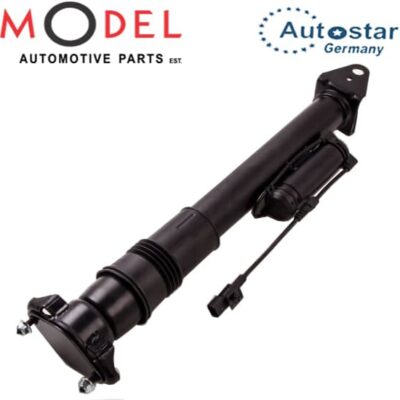 AutoStar Rear Shock Absorber 1643203031