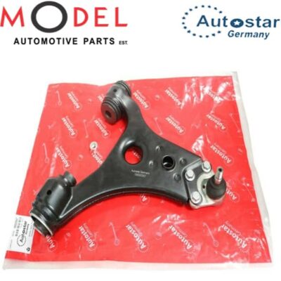 AutoStar Control Arm Left Side - 1693300907