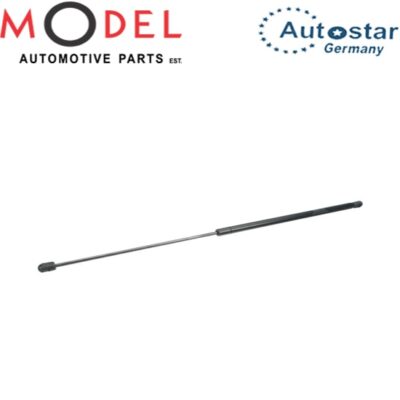 AutoStar Bonner Lift Support