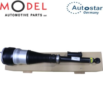 Autostar Rear Air Suspension Right Side 2223207413