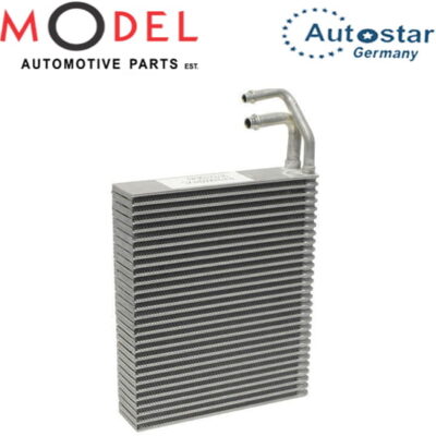 Autostar Evaporator 64119134628