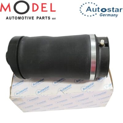 AutoStar Air Spring 2513200425