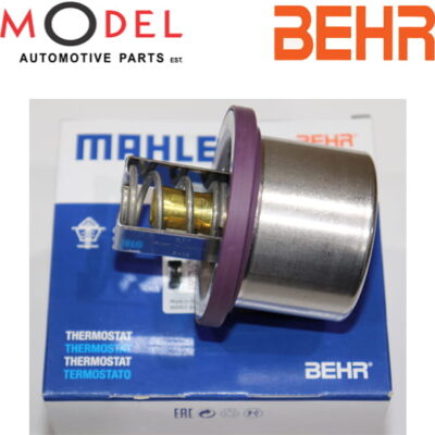 Behr Thermostat