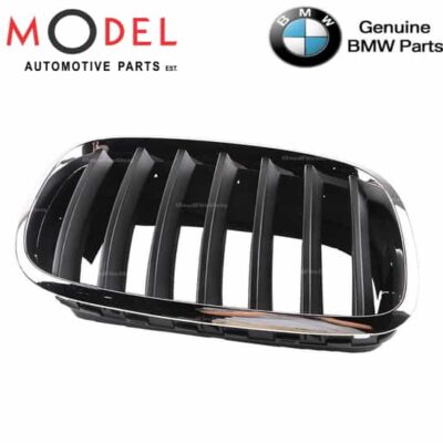 BMW Genuine