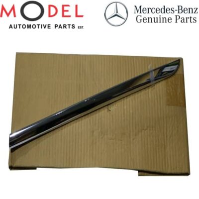 Moulding Right Rear Door