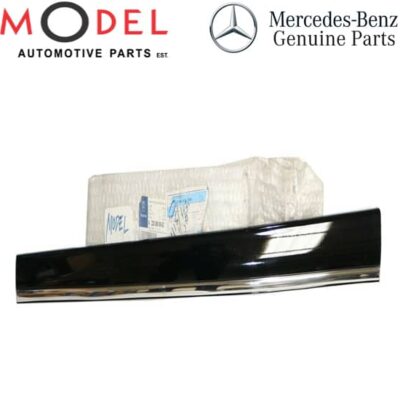 Mercedes-Benz Front Right Door Molding Panel 2206900662