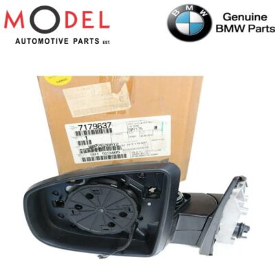 BMW Genuine Outside Rearview Mirrior Heated With Memory Left / 51167179637