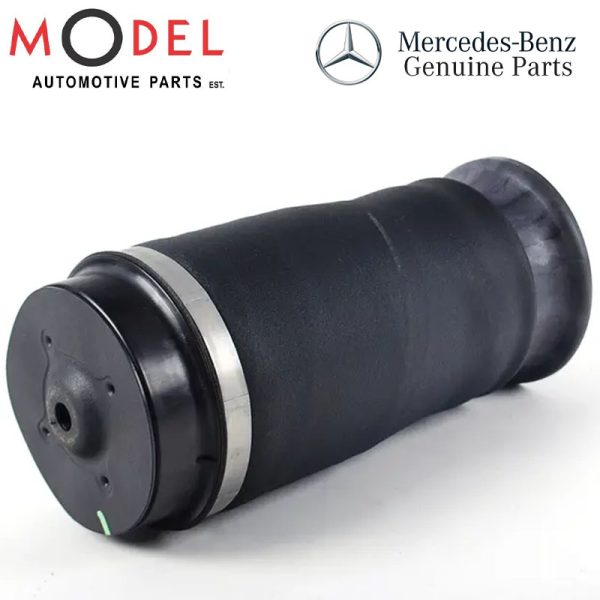 Mercedes-Benz Genuine Air Suspension Spring Rear 1663200325